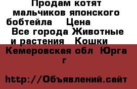 Продам котят мальчиков японского бобтейла. › Цена ­ 30 000 - Все города Животные и растения » Кошки   . Кемеровская обл.,Юрга г.